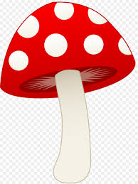 Mushroom Cartoon Png Download 3584 4768 Free Transparent Mushroom Png Download Cleanpng Kisspng Featuring over 42,000,000 stock photos, vector clip art images. mushroom cartoon png download 3584