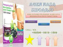 Terlariss Wa 6289602191809 Diet Aman Dan Cepat Kurus Di Sidoarjo Suplemen Diet Diet Pembakar Lemak