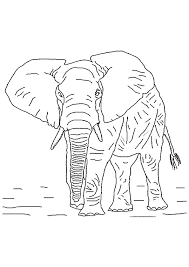 page 41 sur 55 hugolescargot com coloriage animaux dessin a colorier dragoart