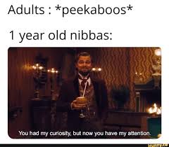 Gentlemen You Had My Curiosity Now You Have My Attention Adults Peekaboos 1 Year Old Nibbas You Had My Curiosity But Now You Have My Attention Ifunny In 2020 Best Funny Photos Funny Photos Funny Memes