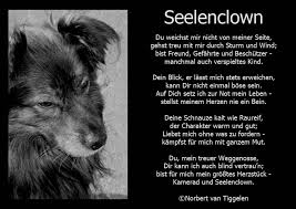 Der mensch ist das einzige lebewesen, das von sich eine schlechte meinung hat. Van Tiggelen Gedichte Menschen Leben Weisheit Welt Erde Gesellschaft Gefuhle Grusse Tier Natur Hund Haustier Hundespruche Hunde Spruche Tiere