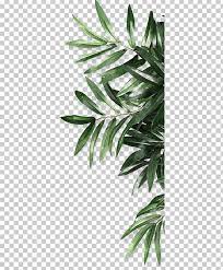  Leaf Be Natural Organics Android Png Android Autumn Leaf Be Natural Branch Decoration Leaf Print Art Flower Background Wallpaper Paper Background Texture