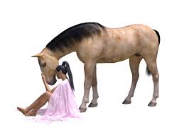 Les femmes et les chevaux. Femme Cheval Amitie Amour Pour Les Image Gratuite Sur Pixabay