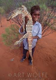 The Goanna Has An Important Place In Australian Aboriginal Culture Not Only Is It A Food Source Australian Aboriginals Aboriginal Culture Aboriginal People