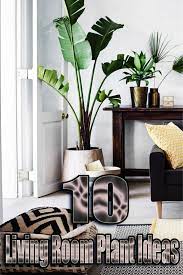 Adding elevation is ideal for house plants. 10 Living Room Plant Ideas