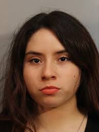 Detectives Arrest Suspect in Hammer Assault Huron Police detectives have  arrested 24-year-old Rosita Yvette Bobadilla of Huron. She has been booked  into the Fresno County Jail