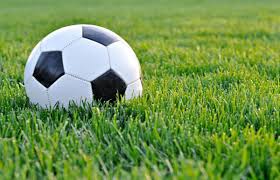 Campionatul european de fotbal 2012. Campionatul European De Fotbal Amanat De Uefa Euro 2020 Va Deveni Euro 2021