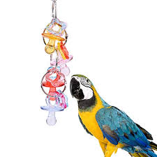 We also have a selection of shreddable toys that many pet birds and parrots love. Parrot Toys Cockatiels Acrylic Peck Chewing Parrot Toys Nontoxic Hanging Cage Accessory Parakeets Lovebirds Toy In Rings Bundle Large Apple Bells Kids Eclectus Diy Parts Wantitall