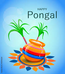 Wishing you and your family a very prosperous pongal wish you a happy pongal. Happy Pongal Greeting Card On Blue Background Makar Sankranti Poster Vector Illustration Stock Vector Adobe Stock
