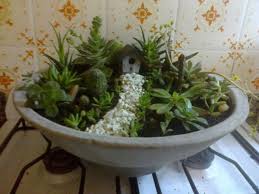 Resultado De Imagen De Como Decorar Macetas Con Cactus Plants Kokedama