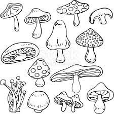 Line Art Drawing Of Different Kinds Of Mushrooms Line Art Drawings Mushroom Drawing Doodle Art