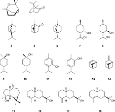 Image result for Alectra picta