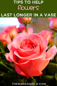 Essential oils can be a great choice to prevent or remedy fatigue naturally. Make Your Cut Flowers Last Longer In A Vase