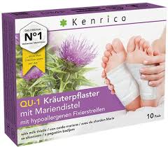 Die mariendistel ist ein angehöriger der pflanzenfamilie der korbblütler. Qu 1 Krauterpflaster Mit Mariendistel Lust Aufs Fasten Vitalabo