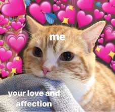 Pin By Scout Brown On Reaction Pics Wholesome Memes Cute Cat Memes Cute Love Memes Love Memes
