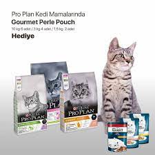 petihtiyac adli kullanicinin kedi urunleri panosundaki pin kedi urunler oyuncak