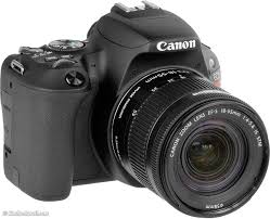 We did not find results for: Recommended Cameras