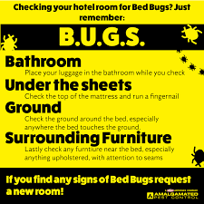 Nobody wants a pest infested house! Amalgamated Pest Control St George Home Goods Store 261 265 Alfred St St George Qld 4487 Australia
