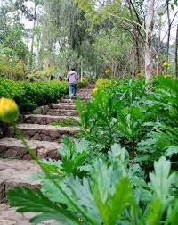 Botanical & zoological garden (was said to have been a zoo); Botanical Garden Baguio City Steemit