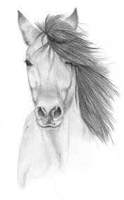 Pencil drawing tutorials and graphite drawing tutorials. 1001 Ideas And Inspiration On How To Draw Animals