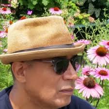 Vincent Falls Designs