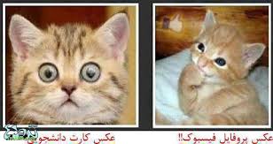 Image result for ‫عکس نوشته طنز جدید مرداد 94‬&lrm;