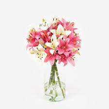 Rendi speciale il giorno di una persona che ami con i nostri fiori di compleanno. Fiori Per Compleanno Il Miglior Regalo Per La Persona Che Ti Sta A Cuore Colvin