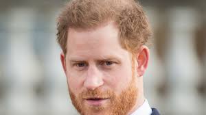 Niemand wil dokken voor security Harry en Meghan