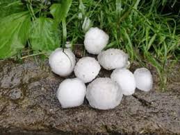 Previsioni del tempo romania, affidabili e precise. Cronaca Meteo Romania Devastata Da Una Violenta Grandinata Creando Forti Disagi E Danni Ad Abitazioni E Auto Periodico Daily