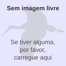 Image result for Dialium holtzii