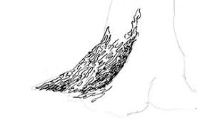 Tree pen drawing illustrations & vectors. Tree Pen And Ink Drawing Steps