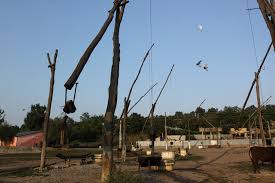 Marian cozma pe o cumpana de fantana. Era O FantanÄƒ Cu CumpÄƒna Grea Ca Toate Fantanile VieÅ£ii Sud Est Forum