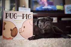 Pug Meets Pig Book Giveaway The Pug Diary Pugs Pugs Funny Dog Communication