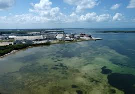 Biology, chemistry and physical conditions. Wastewater From Piney Point Has Tampa Bay On Edge For Possible Red Tide Algae Bloom