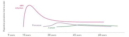 Hpv is a group of more than 200 related viruses, some of which are spread through vaginal, anal, or oral sex. Human Papillomavirus Hpv And Cervical Cancer