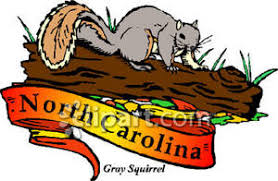 The community college courses identified were selected for inclusion because they both fulfill requirements for an associate degree and transfer to nc state. State Animal Of North Carolina The Gray Squirrel Royalty Free Clipart Picture