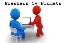 We spoke about using references and how including them is a part of the best fresher resume format. Best Freshers Resume Format For Bba Mba Business Analyst Mca Bca India