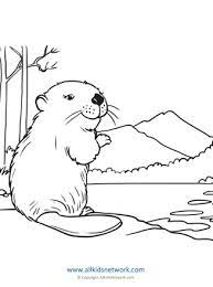 Coloring book little baby beaver sitting. Beaver Coloring Page All Kids Network