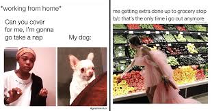 Check out the surprising origin story behind the trending woman yelling at a cat meme. Memebase Coronavirus Tweets All Your Memes In Our Base Funny Memes Cheezburger