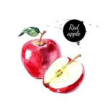 Watercolor Hand Drawn Red Apple Isolated Eco Natural Food Fruit Illustration On White Background Art Print Pim Art Com In 2021 Watercolor Fruit Fruits Drawing Watercolor Food