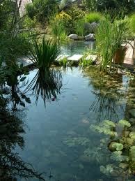 Biopiscine Piscine Naturelle Schwimmteich Fischteich Teich