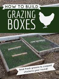 when someone would like to raise chickens it s a good idea to make certain that they set up a chicken urban chicken farming portable chicken coop chicken diy
