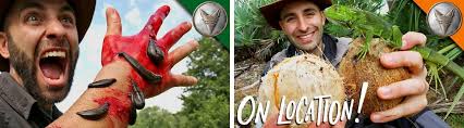 Wilderness survival apk история версий. Brave Wilderness Apk Download For Android Latest Version 5 01 Com App Download 10101 Brave Wilderness