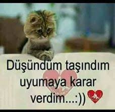Kedi Replikleri 3 Panosundaki Pin