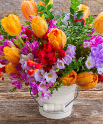 Crossword puzzles are for everyone. Freesia And Tulip Flowers Jigsaw Puzzle In Flowers Puzzles On Thejigsawpuzzles Com