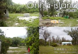 「市橋　オーハ島」の画像検索結果