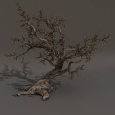 Tree Scary 3d Model Fantasy Tree Nature Tree Scary