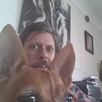 banjoke's collection