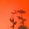 See more ideas about red aesthetic, red, aesthetic. 3
