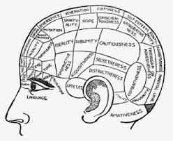The clipart is related to brain injury , small village , small intestine. Pink Big Brain Wojak Hd Png Download Transparent Png Image Pngitem